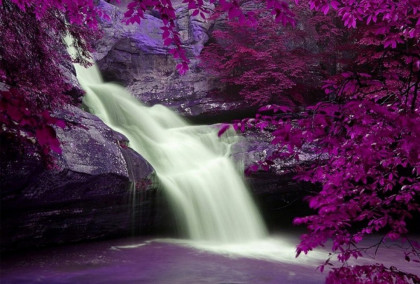 purple tree waterfall